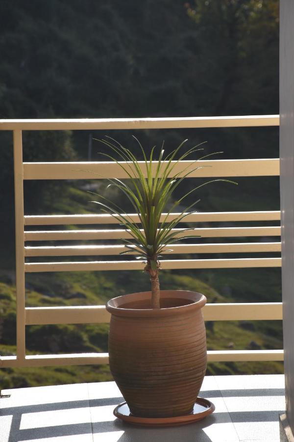 דרמסאלה Jot Eco Boutique Stays מראה חיצוני תמונה